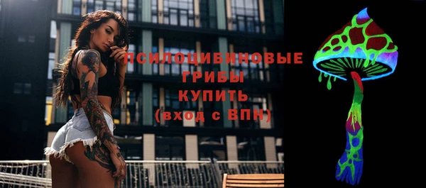 крисы Вязьма
