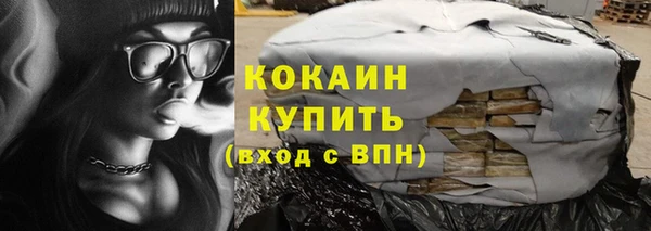 сатива Горнозаводск