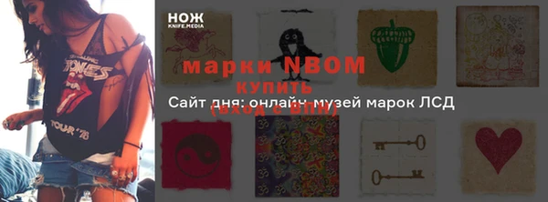 крисы Вязьма