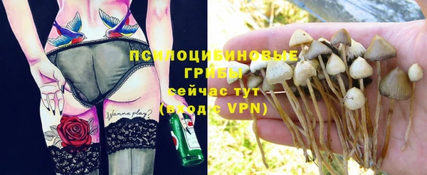 крисы Вязьма