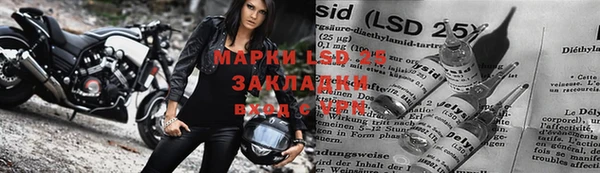 крисы Вязьма
