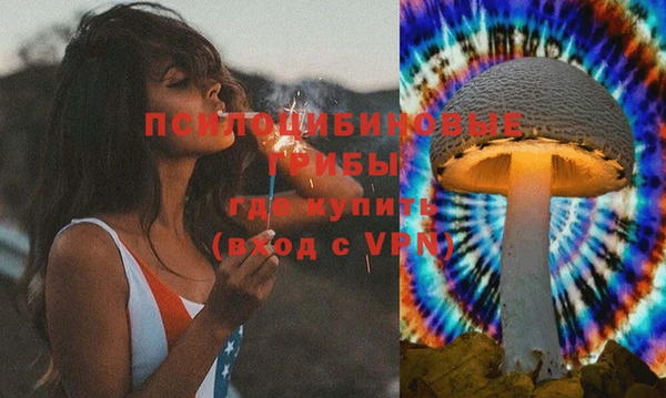 дмт Вяземский