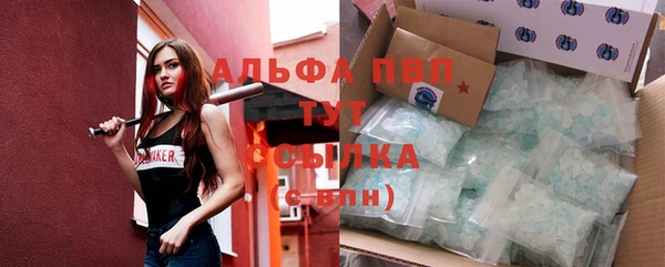 дмт Вяземский