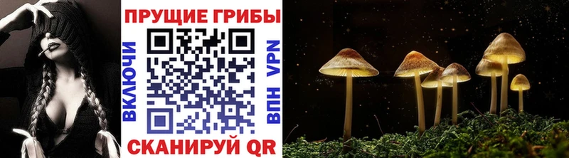 Псилоцибиновые грибы ЛСД  Купить закладки  Красково 